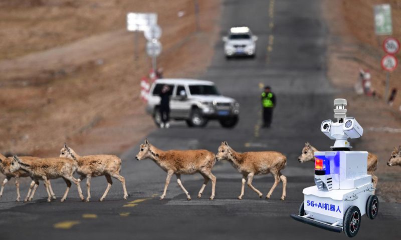 China, Robot Antelope, Tibet, Hoh Xil, 5G, AI, Wildlife, High-tech,