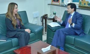 Pakistan, US, US Embassy, Ministry of Petroleum,