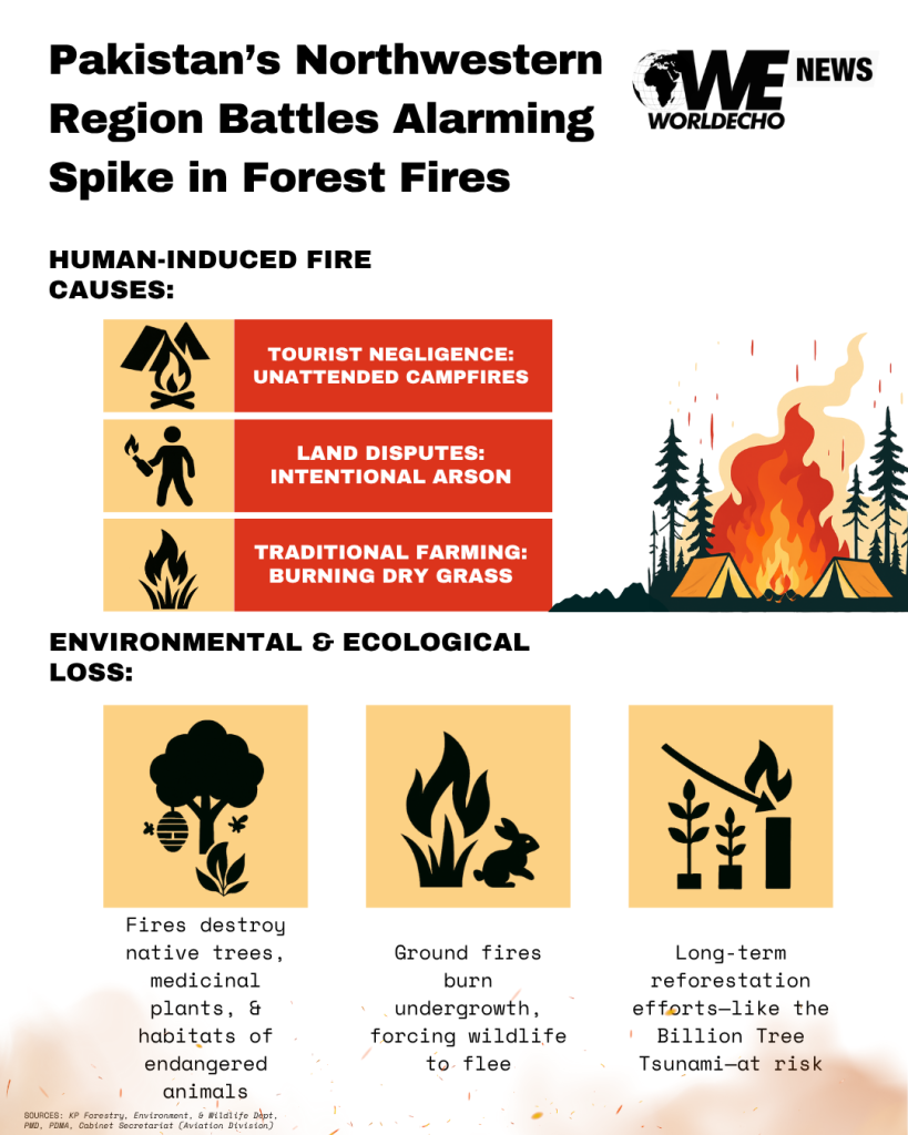 Pakistans Northwestern Region Battles Alarming Spike in Forest Fires 3 1