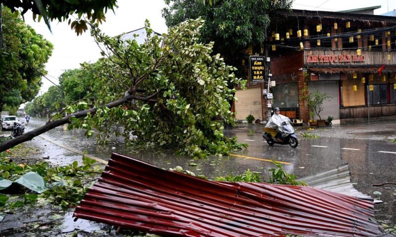 Typhoon