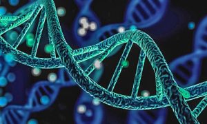 Canada, Algoma University, Codon Usage Landscape,