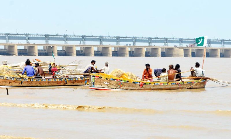 Pakistan, ESBN, Marine Fisheries, Kotri Barrage, Indus, Sindh,