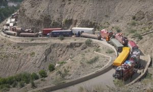 Afghan