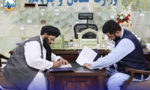 Ministry of Mines and Petroleum, Afghanistan, Zinc, Kabul,