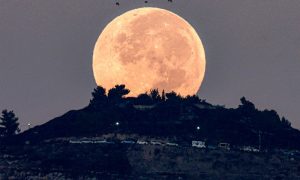 Blood Moon
