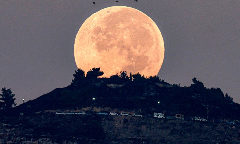 Blood Moon
