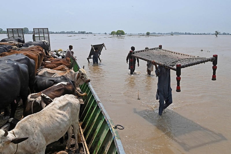 Chanda Singh Wala village flooded 21692802885 0