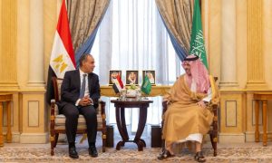 Saudi Arabia, Egypt, Gaza, Qatar, Egyptian, Israeli,