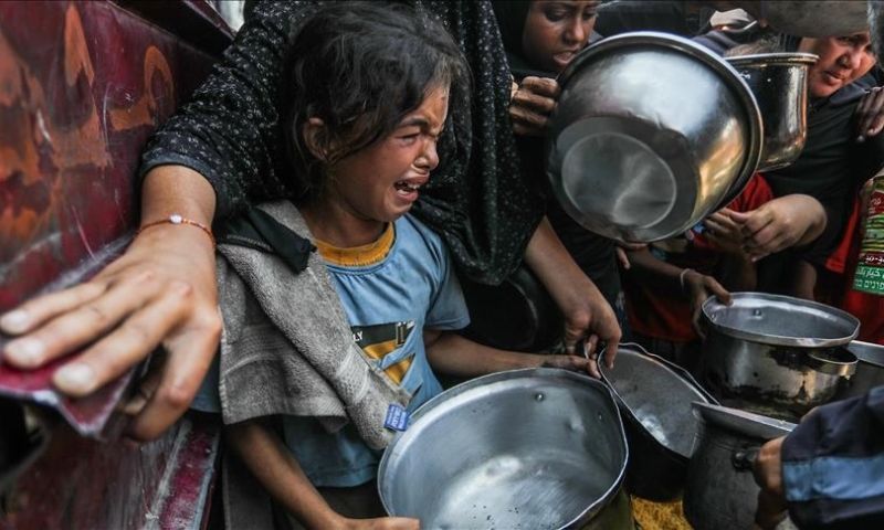 Gaza Famine
