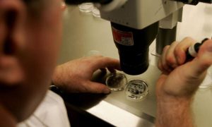 Scientists, Researchers, Human Skin Cells, Eggs, Fertility, Sperm