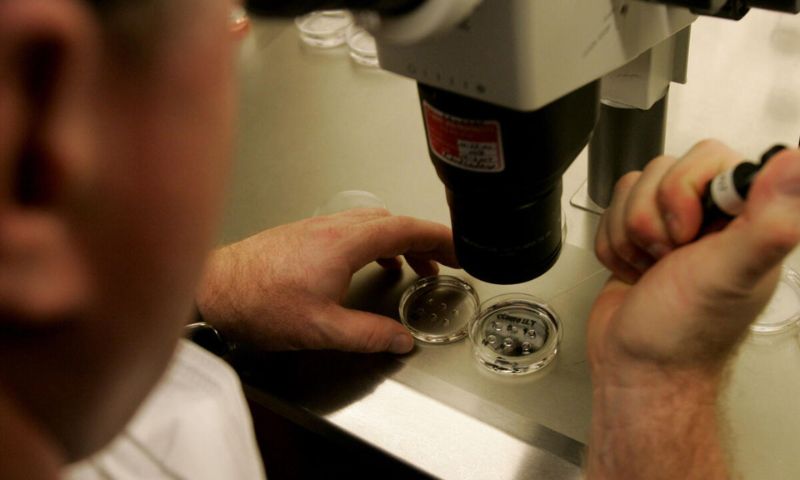 Scientists, Researchers, Human Skin Cells, Eggs, Fertility, Sperm