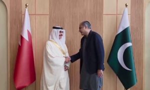 Pakistan, Bahrain, Interior Minister, ANF,