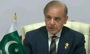 Pakistan Proposes Arab-Islamic Task Force to Counter Israeli 'Aggression'
