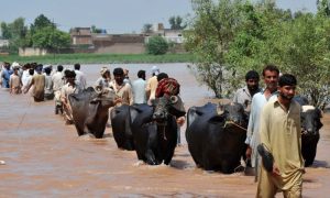Pakistan