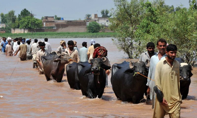 Pakistan