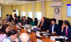 Pakistan, ECC, Reko Diq, Balochistan,