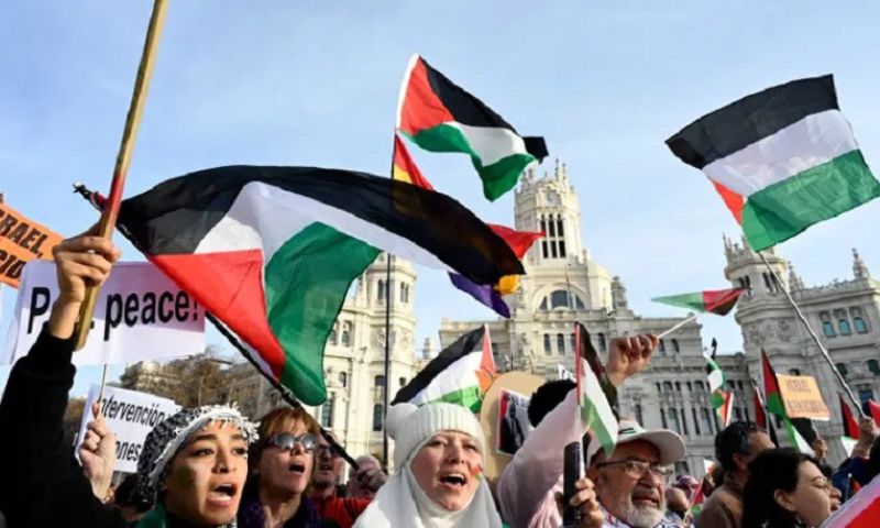Palestine 4