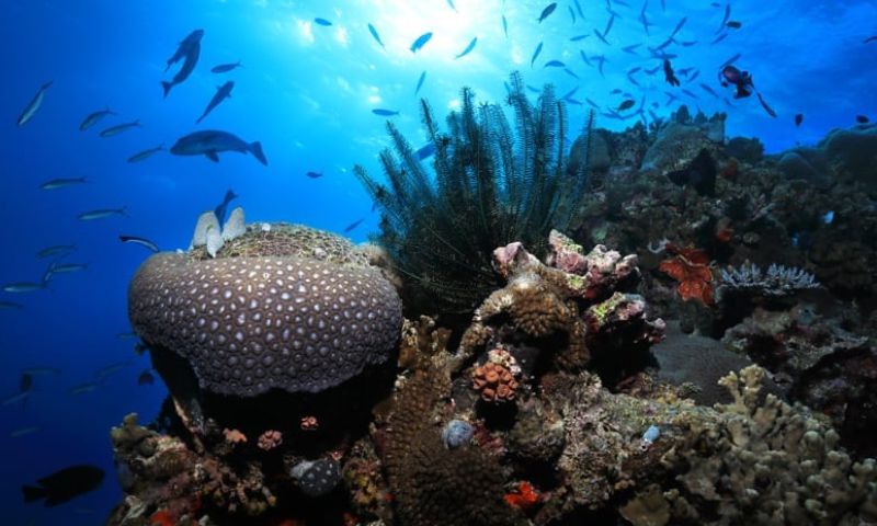 Seabeds and oceans around the world