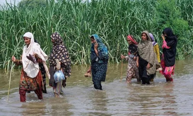 Pakistan, Punjab, By-Elections, Floods, Monsoon Rains, Ravi, Chenab, Sutlej