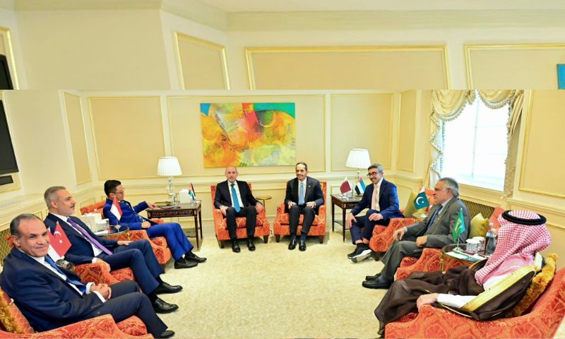 Pakistan, Saudi Arabia, UN General Assembly,