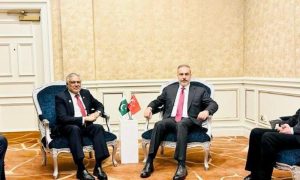 Pakistan, Doha, Turkiye, Palestine, Hamas, Gaza, OIC,