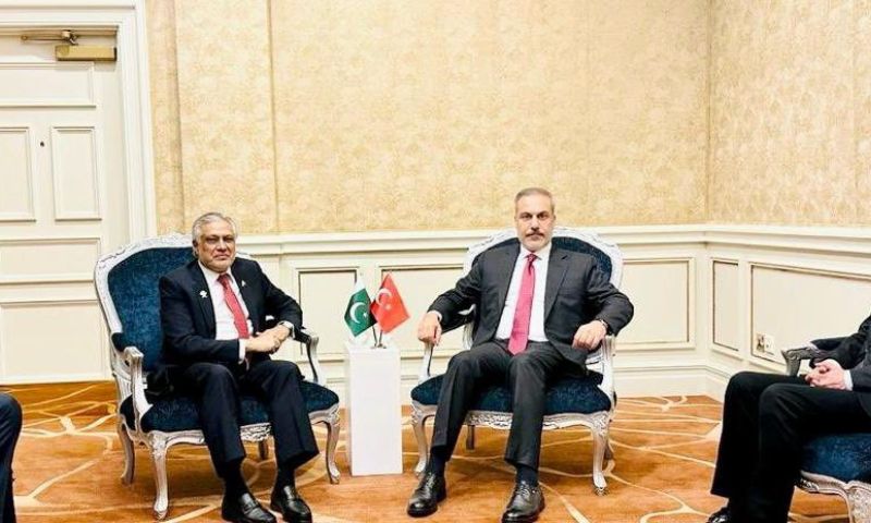 Pakistan, Doha, Turkiye, Palestine, Hamas, Gaza, OIC,