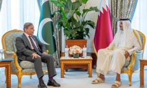 Doha, Israel, Pakistan, Qatar, Prime Minister, UN, OIC,