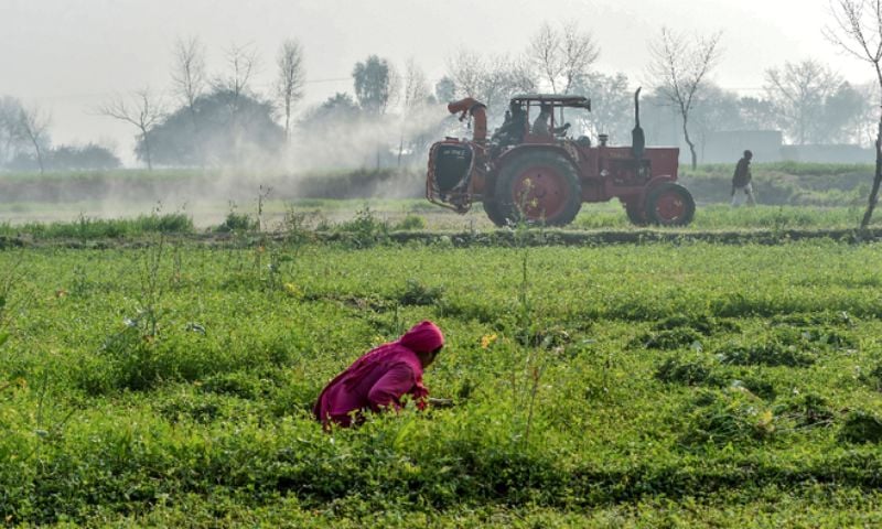 Dry spell, westerly wave, rain, snow, northern Pakistan, rabi season, soil moisture recharge, smog, fog