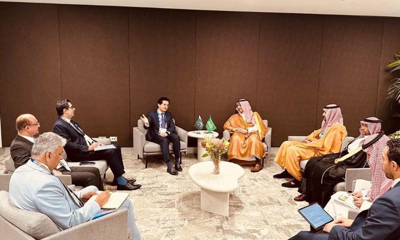 Pakistan, Saudi Arabia, IMARC, Mineral Sector