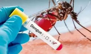 Dengue, Pakistan, WHO, Health Department,