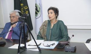 Pakistan, OICOA, Fauzia Viqar, women’s rights, FOSPAH, gender equality