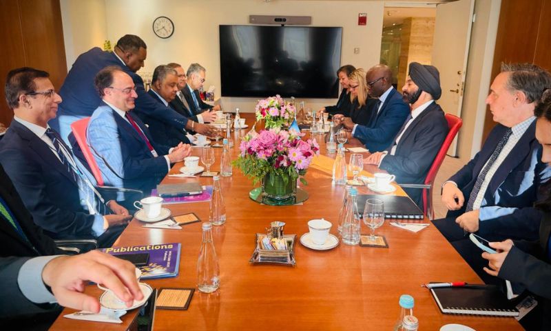 Pakistan, World Bank, Fitch Ratings, IMF, Finance Minister, SLA,