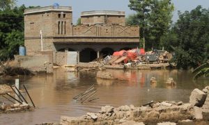 Pakistan, IMF, floods, GDP, fiscal, budget, revenue, review