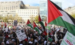 Pakistan, Gaza, Peace, Political, Protests, Government, Israel, Hamas