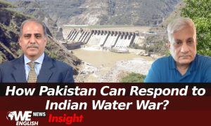 Putting Indus Water Treaty in Abeyance is Breach of World Bank Trust: International Water Expert