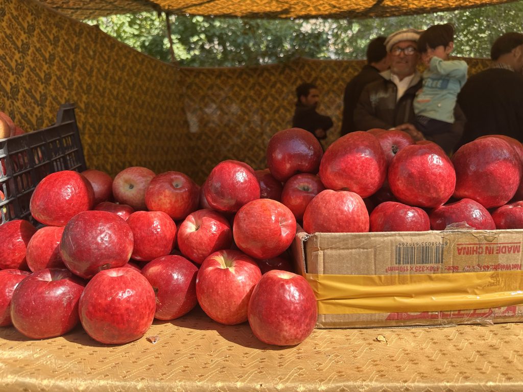 IMG 0347 1