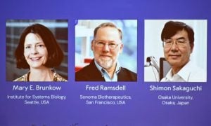 Nobel Prize in Physiology, Immune, FOXP3, T-cells, autoimmune, research