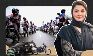 Punjab, Land Grabbing, Property Ordinance, Dispute Resolution Committees (DRC), Land Mafias, Digital Land Records