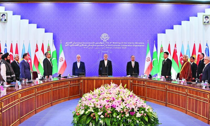 Pakistan, Iran, ECO, President Pezeshkian, Interior Minister,