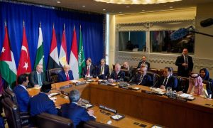 Muslim Countries Welcome Hamas's Response to Trump's Gaza Peace Plan