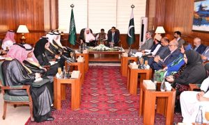 Pakistan, National Assembly, Saudi Arabia, Shura Council, Gaza,