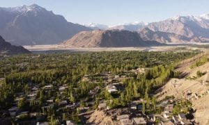Pakistan 10