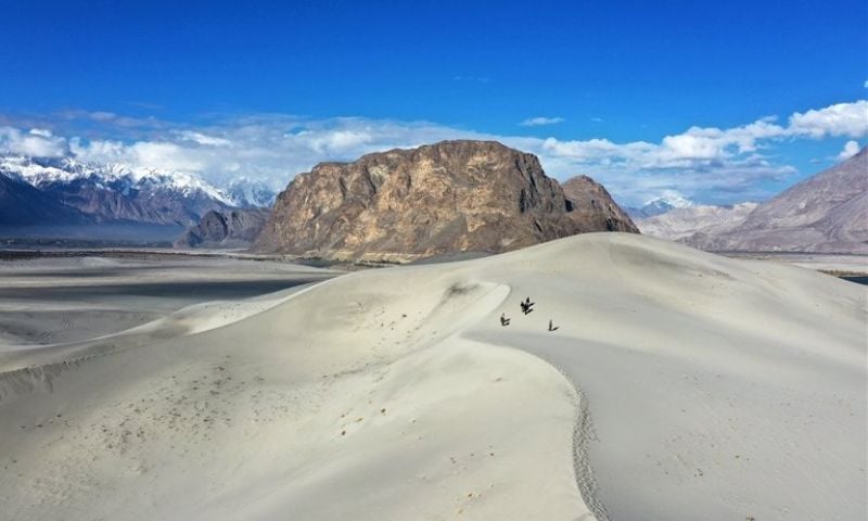 Pakistan 11