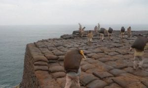 Peru
