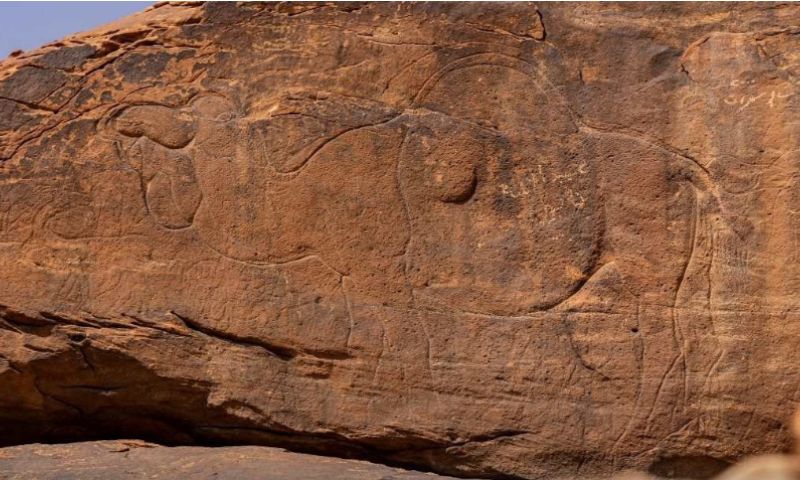 Saudi Arabia, Rock Art, Al-Nafud Desert, Middle East, Arabian Peninsula, Green Arabia Project,