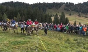 Swiss