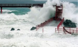 Typhoon