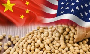 Soybeans, US, China, Brazil, trade war, exports, tariffs, agriculture