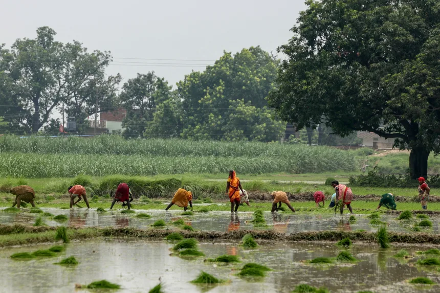 India