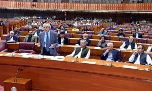 Gaza, Dar, defence, Palestine, Jinnah, Delegation, NA,